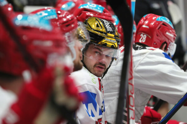 Del 2 Selber Wölfe Ev Landshut