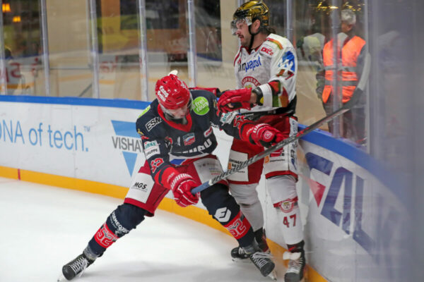 Del 2 Selber Wölfe Ev Landshut