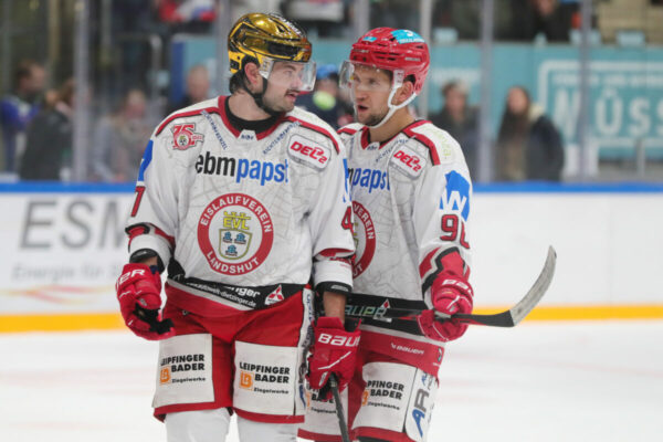 Del 2 Selber Wölfe Ev Landshut