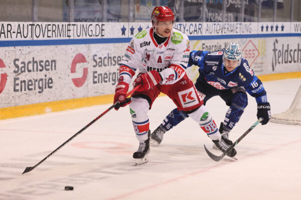 Del 2 Dresdner Eislöwen Selber Wölfe, Eishockey Herren, Del2 Saison 2024/2025